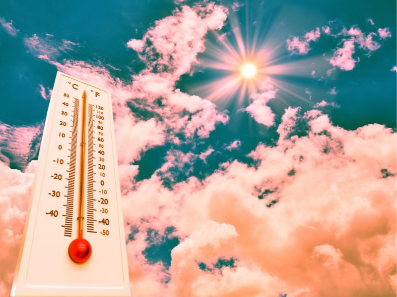 Tormentoni estivi e pinsa: un viaggio enomusicale nelle cucine di Deus Pinsa